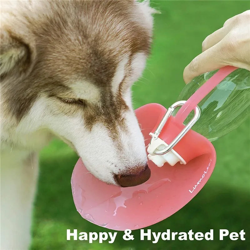 NovaPet HydroWalk — Portable Dog Water Bottle & Bowl for Outdoor Adventures