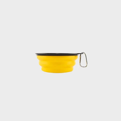 NovaPet FoldBowl — Collapsible Silicone Pet Bowl for Food & Water