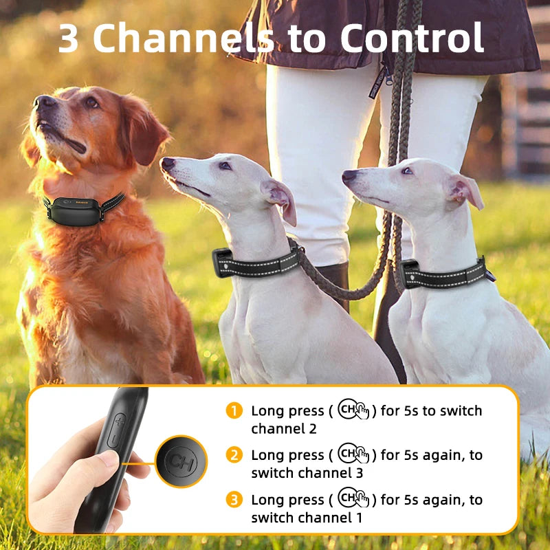NovaPet ProTrain — Remote Dog Training Collar with 3300ft Range